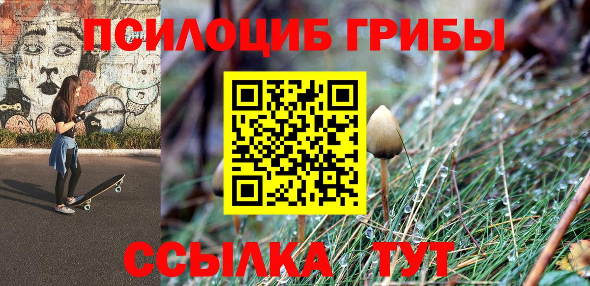 Галлюциногенные грибы прущие грибы  Вход с VPN  Балаково 